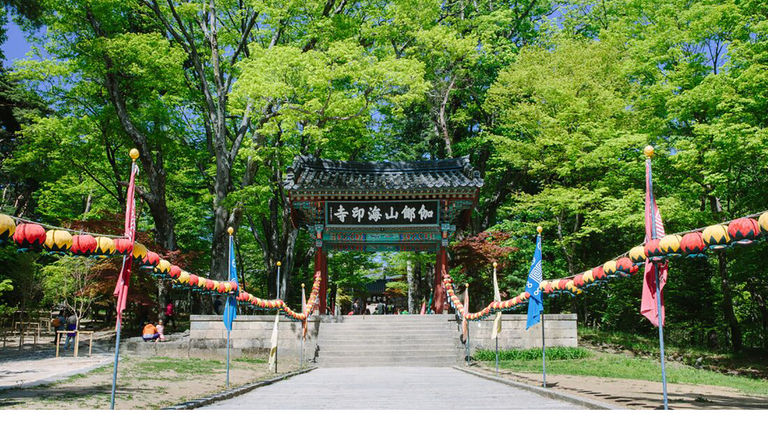 A new Intrepid itinerary in Korea will bring travelers to Hainsa Temple for firsthand cultural experiences.