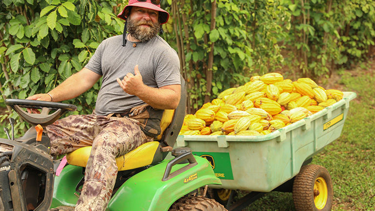 A worker hauls ripe cacao pods that are ready for processing.