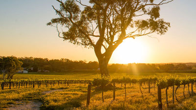 An Ideal Travel Itinerary to South Australia