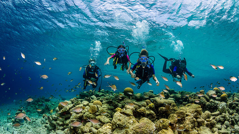 Diving operators in Bonaire offer PADI and SASY programs for children.