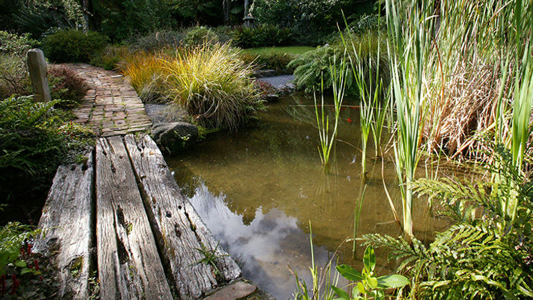 Garden lovers should be sure to pay a visit to Te Kainga Marire, considered a Garden of International Significance by New Zealand Gardens Trust. // © 2018 Rob Tucker