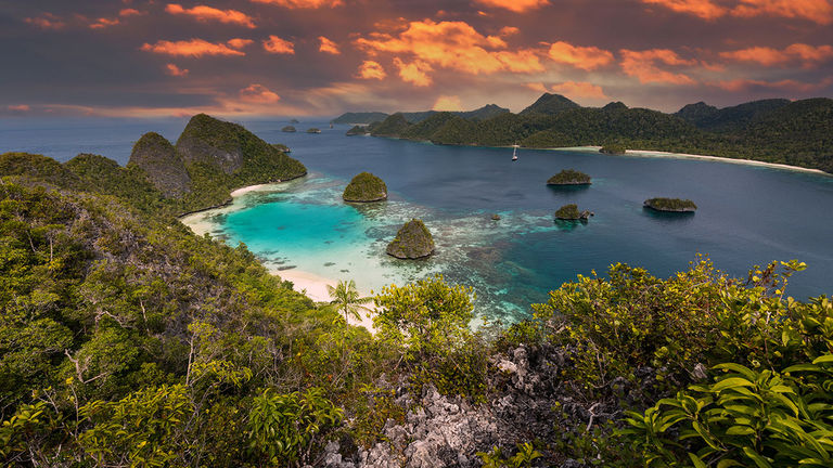 In Raja Ampat, adventurous clients might dive and snorkel along stunning coral reefs.