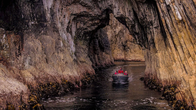 In Tasmania, On Board Expeditions offers wildlife research programs.