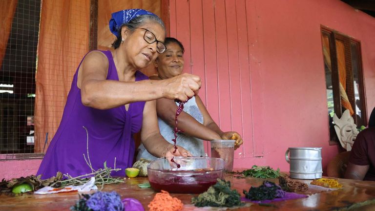 indigenouscaribbeanterraba