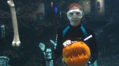 On Oct. 31, Maui Ocean Center will offer underwater pumpkin-carving demonstrations. // © 2014 Maui Ocean Center