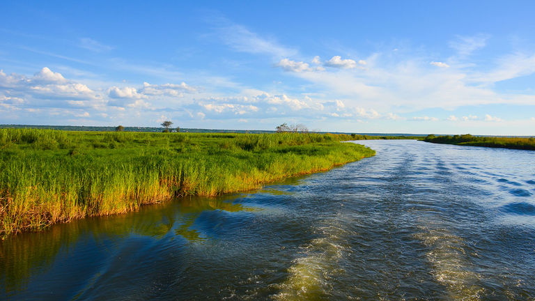 The Chobe River