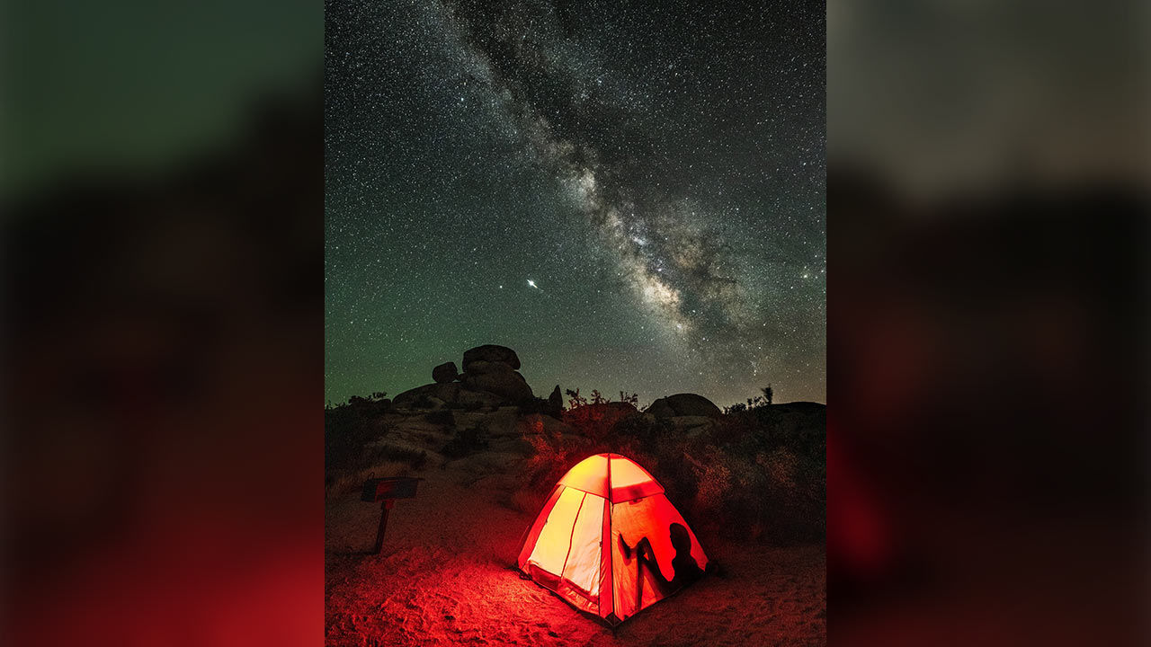 Travel Bucket List: A Night With the Stars in Joshua Tree National Park, California